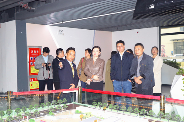 廬陽區(qū)委常委、宣傳部長韓艷一行蒞臨廬陽建華文創(chuàng)園調(diào)研